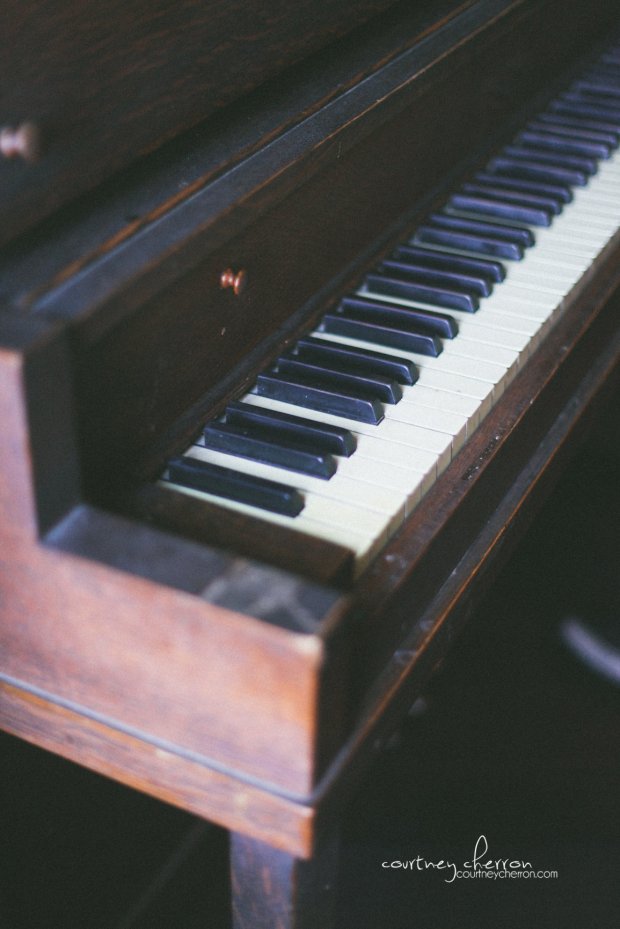 View More: http://courtneycherron.pass.us/W7L8d116536